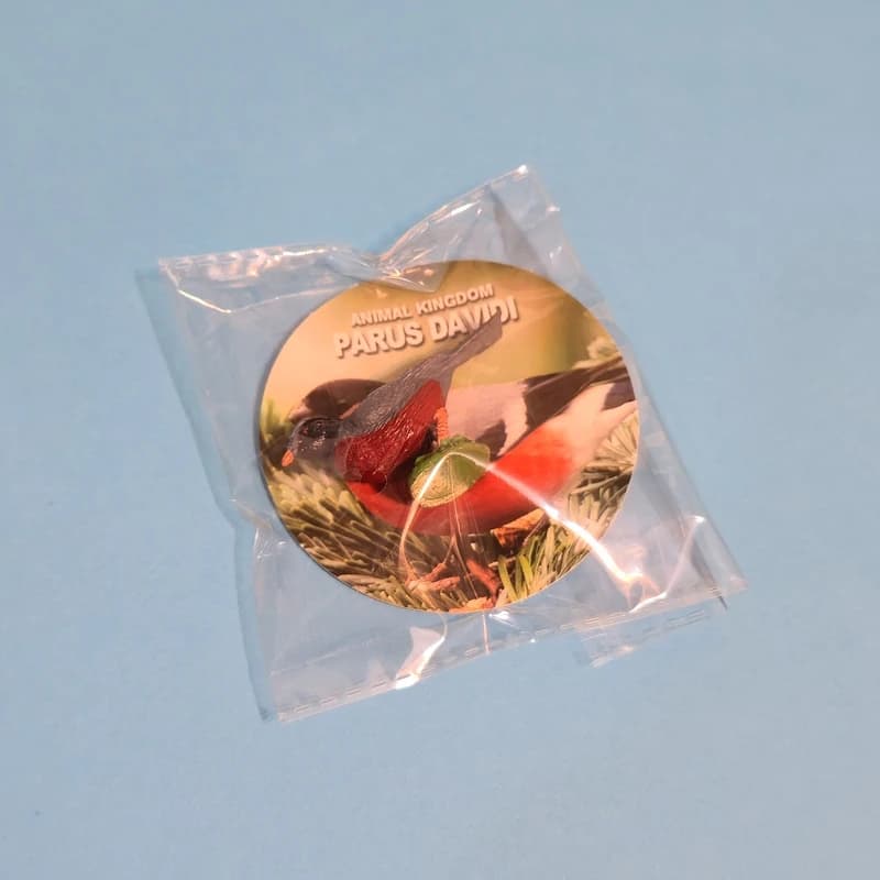 فیگور مدل پرندگان مجموعه 4 عددی کد BK852B — تصویر ۷