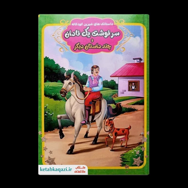 کتاب سرنوشت یک نادان و چند داستان دیگر | اثر حمیده شیخ حسنی | انتشارات سرزمین پریان
