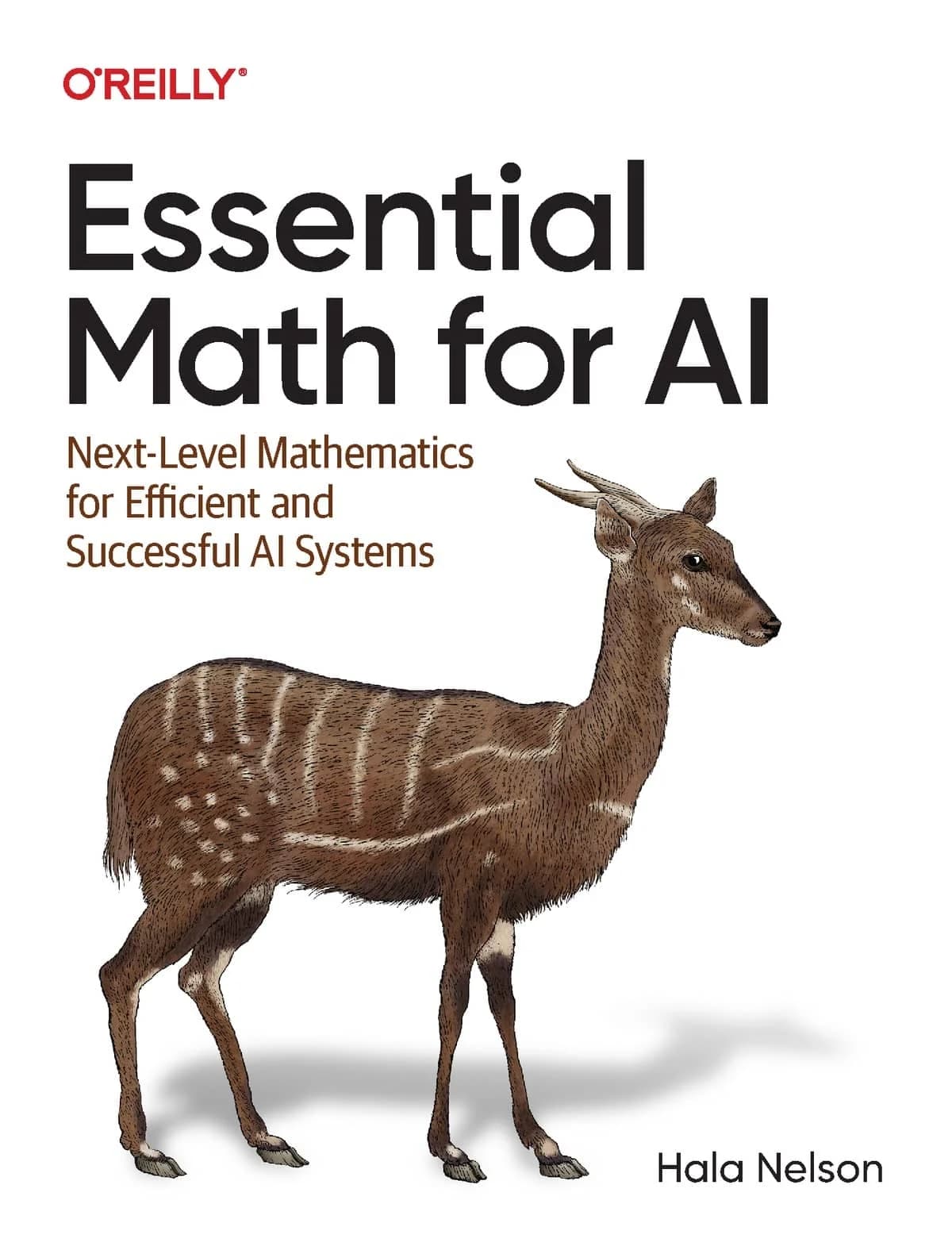 کتاب Essential Math for AI