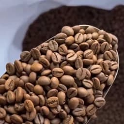 قهوه اسپرسو 70 روبوستا 30 عربیکا (250 گرم) — تصویر ۲
