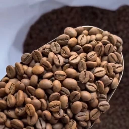قهوه اسپرسو 70 روبوستا 30 عربیکا (250 گرم)