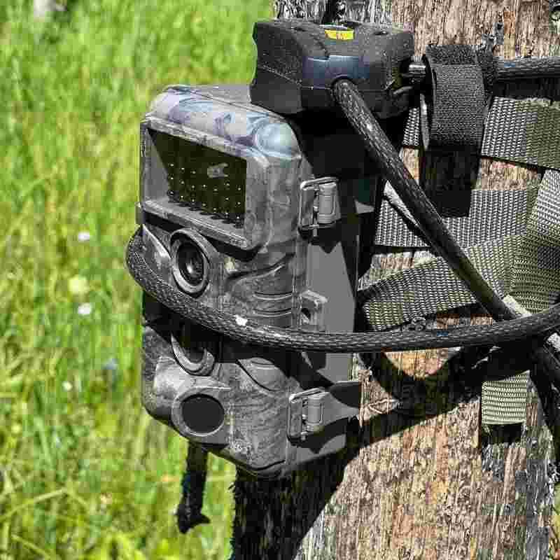 دوربین تله ای شکاری TRAIL CAMERA — تصویر ۵