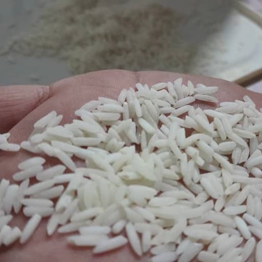 برنج ممتاز جمشیدجو آستانه اشرفیه