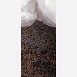 چای ساقه بهاره لاهیجان 5کیلویی اقتصادی 1405 — تصویر ۲