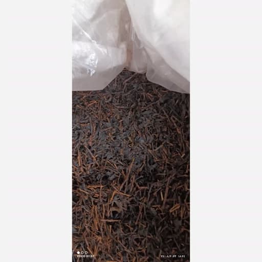 چای ساقه بهاره لاهیجان 5کیلویی اقتصادی 1405
