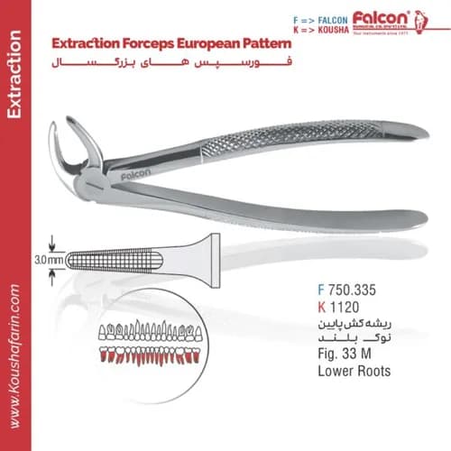 فورسپس ریشه‌کش پایین نوک‌باریک // Fig. 33 M // فالکن | کوشا