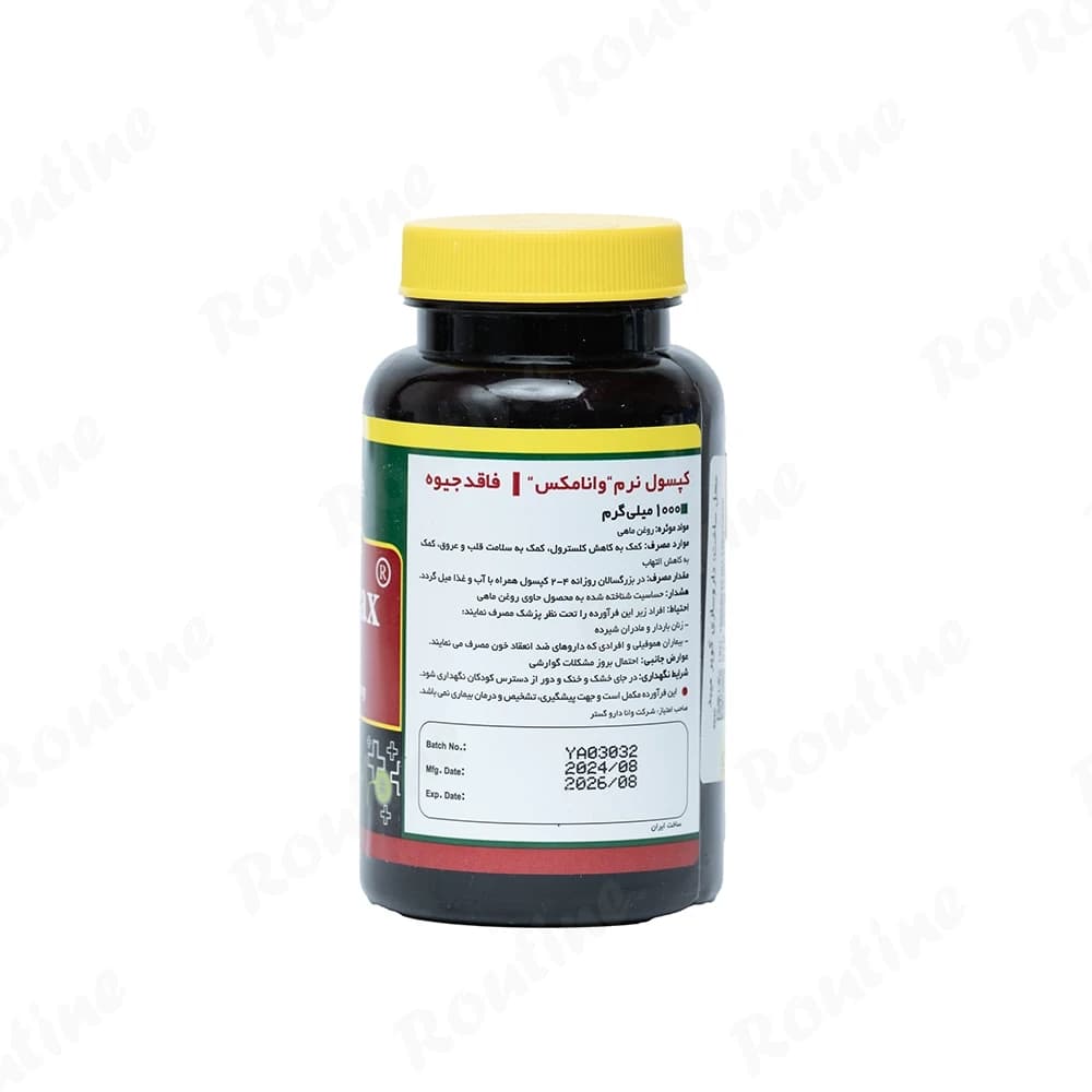 کپسول امگا 3 نورم‌لایف 1000 میلی‌گرم 60 عدد — تصویر ۲