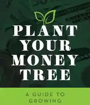 دانلود کتاب Plant Your Money Tree: A Guide to Growing Your Wealth Book – کتاب درخت پول خود را بکارید:…