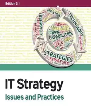 دانلود کتاب IT strategy: issues and practices – استراتژی فناوری اطلاعات: مسائل و اقدامات