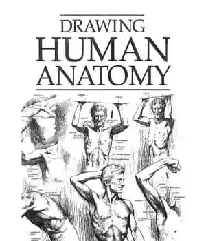 دانلود کتاب Drawing Human Anatomy – ترسیم آناتومی انسان