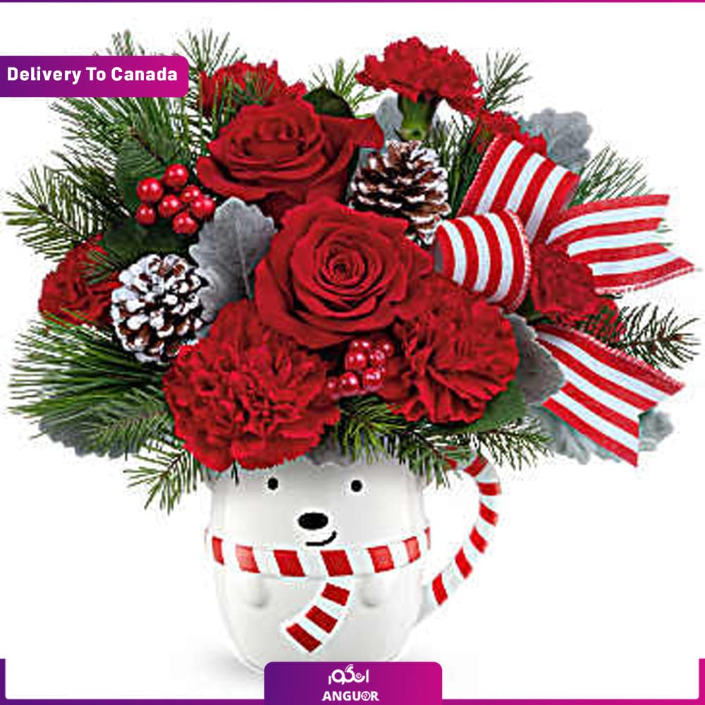 باکس گل آرزوی کریسمس (ارسال گل به کانادا )