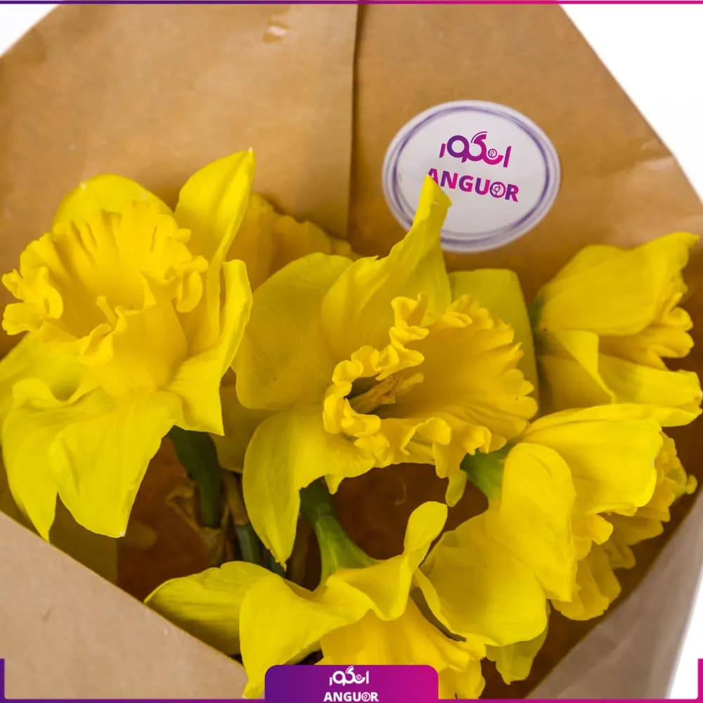 دسته گل نرگس زرد 7 عددی — تصویر ۲