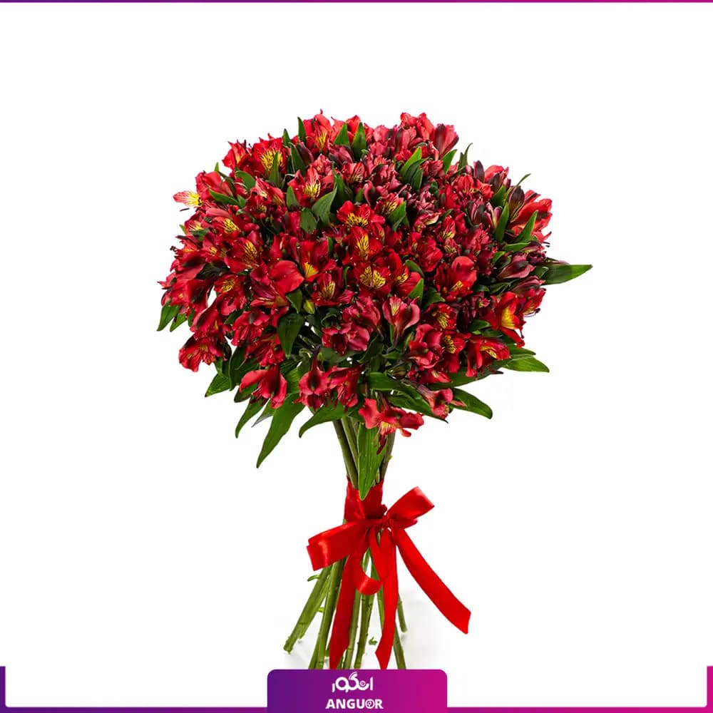 دسته گل آلسترومریا قرمز (36 شاخه)