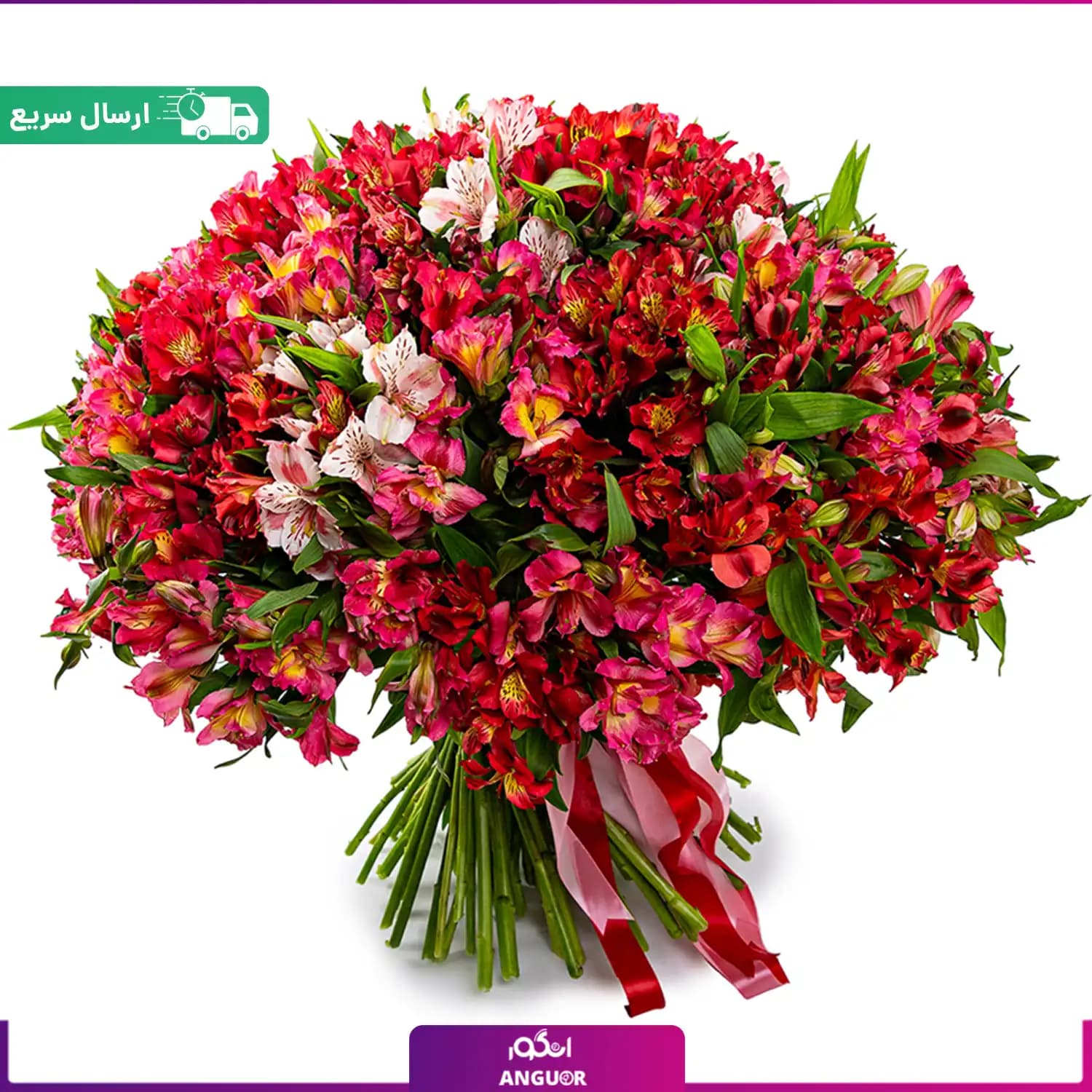 دسته گل بزرگ آلسترومریا – ۱۰۰ شاخه