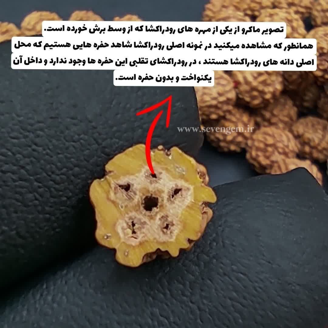 تسبیح و گردنبند گره دار رودراکشا 108 عددی (کد20) — تصویر ۶