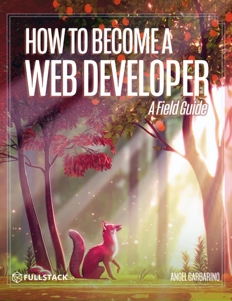 کتاب چگونه یک توسعه دهنده وب شویم (How to become a web developer) نسخه انگلیسی PDF | Angel Garbarino