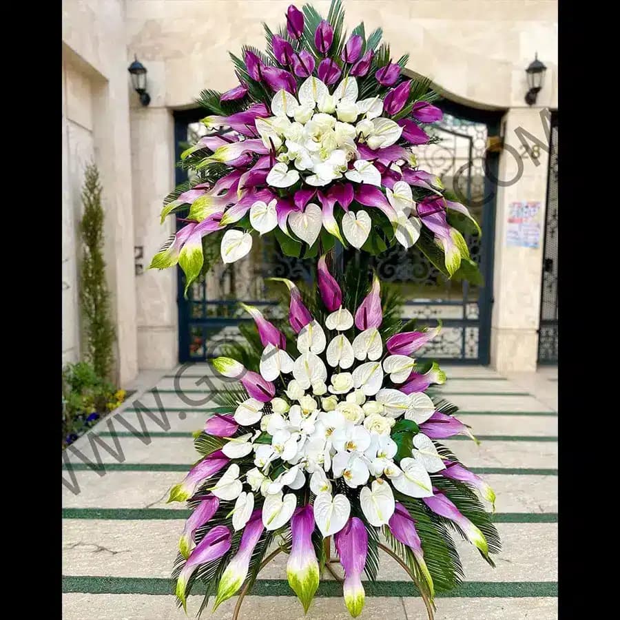 تاج گل دلبند — تصویر ۲