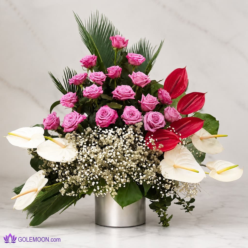 باکس گل گیلدا