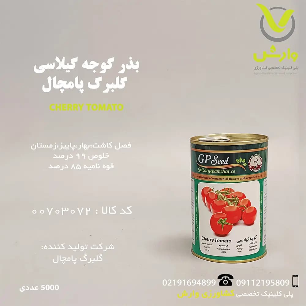 بذر گوجه گیلاسی گلبرگ پامچال قوطی 5000 عددی