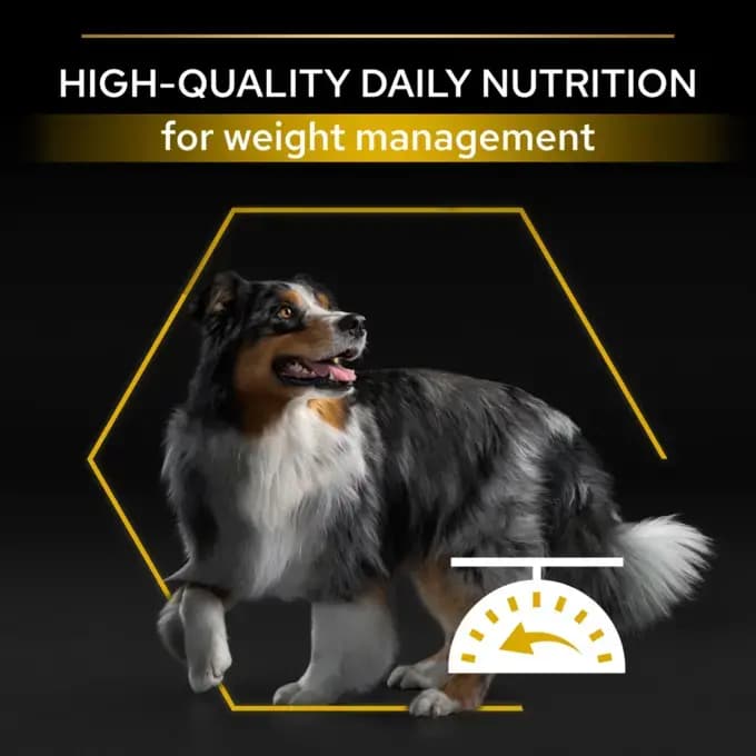 غذا خشک سگ عقیم شده پروپلن طعم مرغ وزن 3 کیلوگرم Proplan Light/Sterilised All Size — تصویر ۳