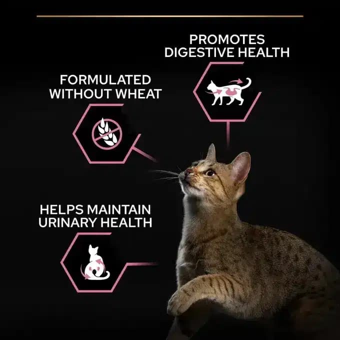 غذا گربه بالغ عقیم دلیکیت پروپلن طعم مرغ وزن 1.5 کیلوگرم Proplan Delicate Digestion — تصویر ۲