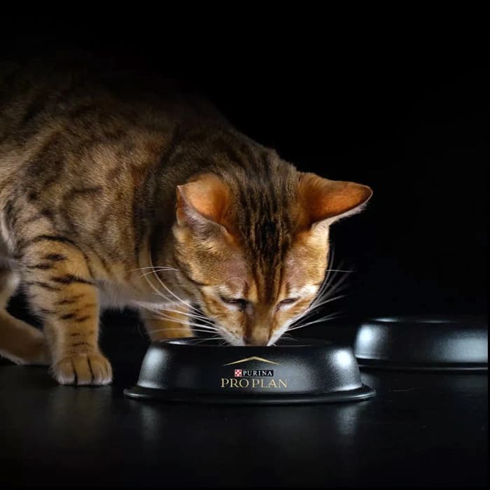 غذا خشک گربه پروپلن ویتال فانکشن طعم سالمون وزن 1.5 کیلوگرم Proplan Vital Functions — تصویر ۴