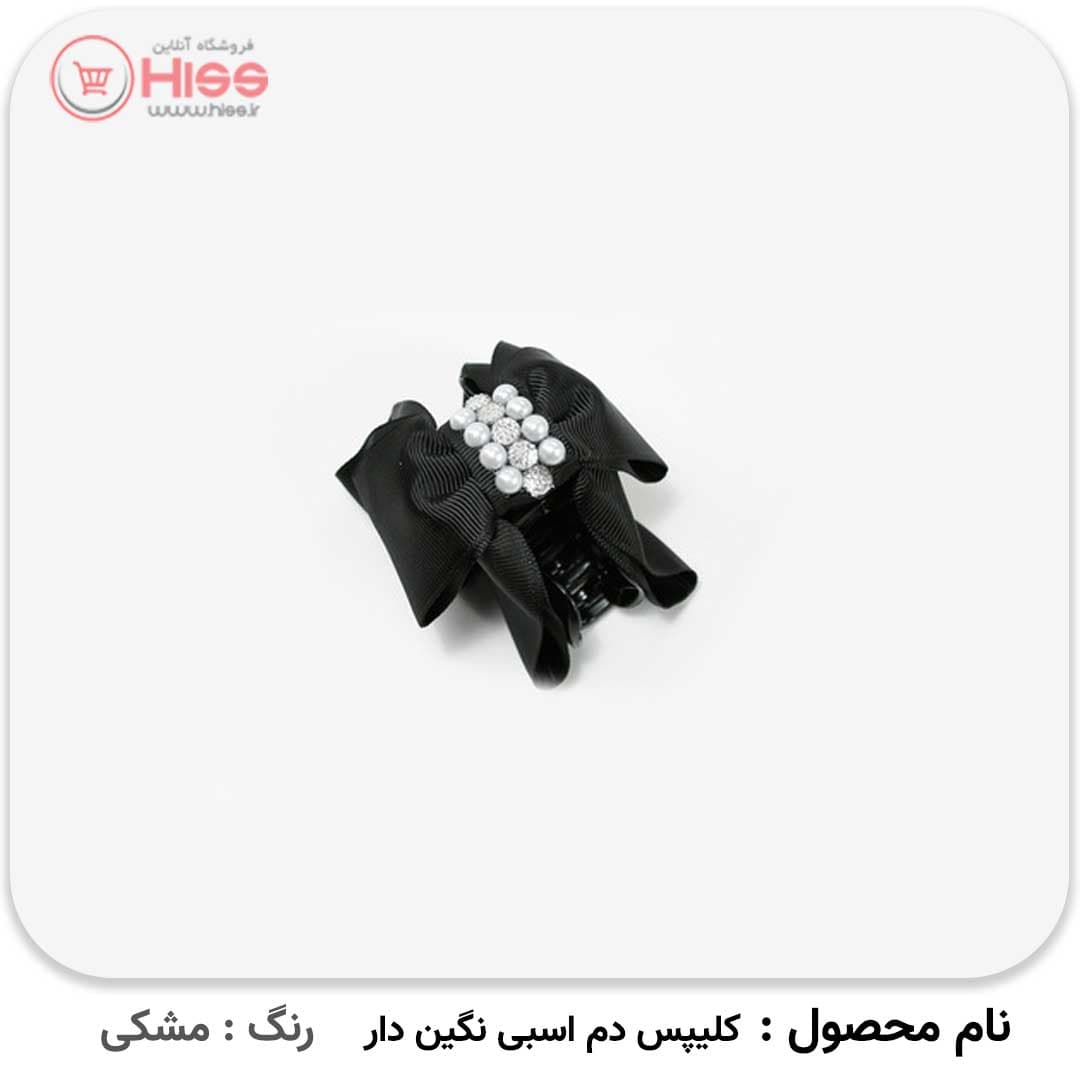 کلیپس دم اسبی نگین دار — تصویر ۶