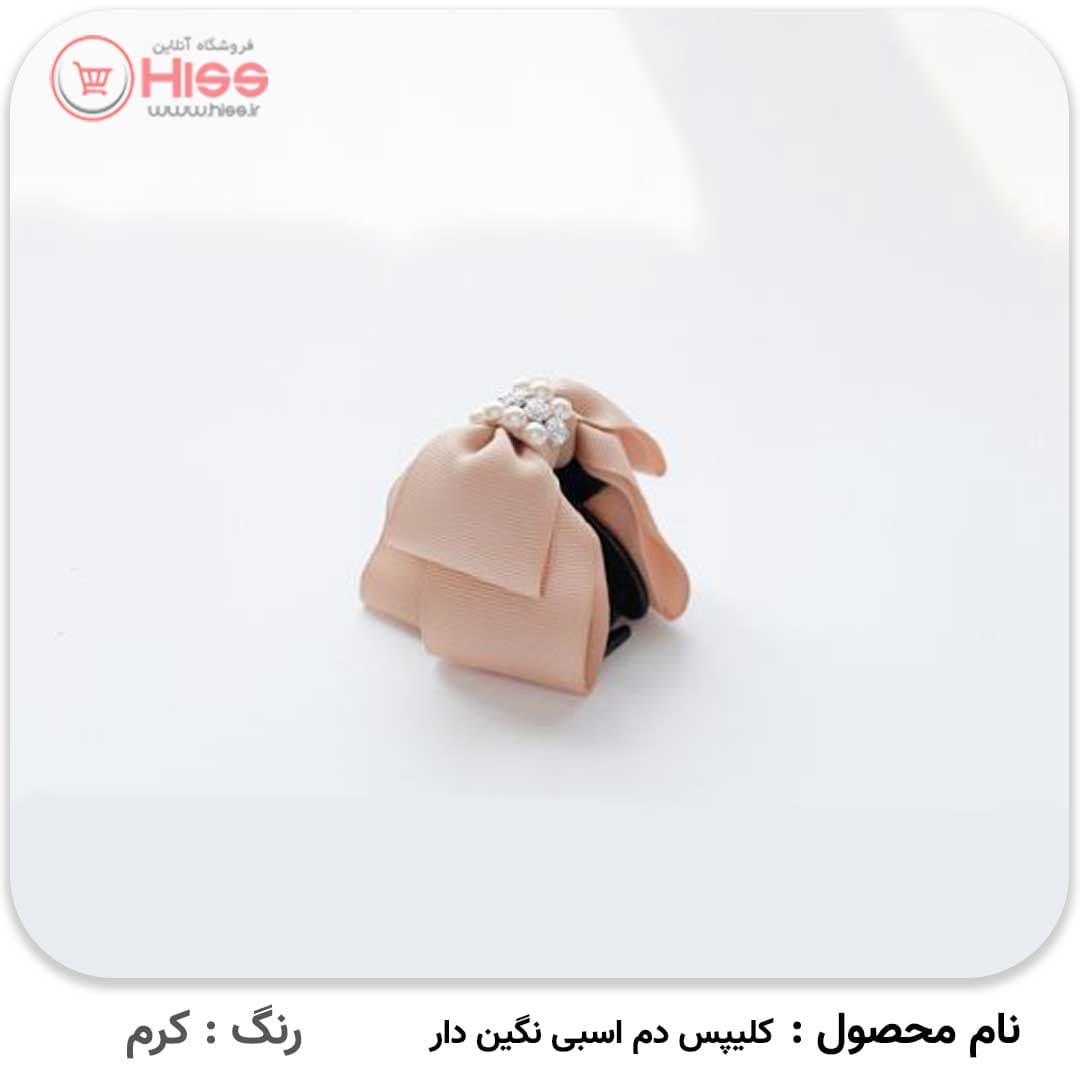 کلیپس دم اسبی نگین دار — تصویر ۴