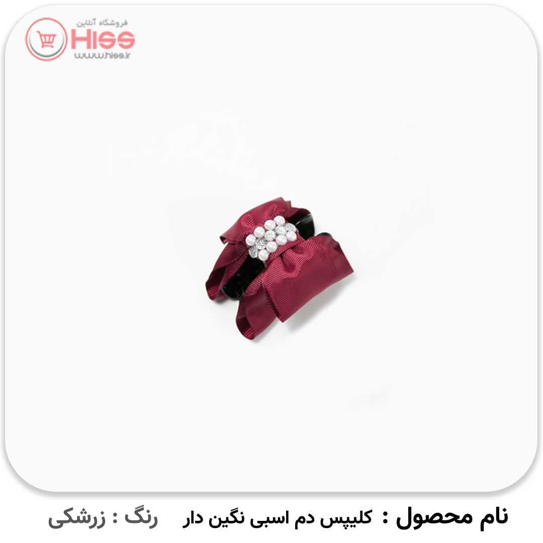 کلیپس دم اسبی نگین دار — تصویر ۸
