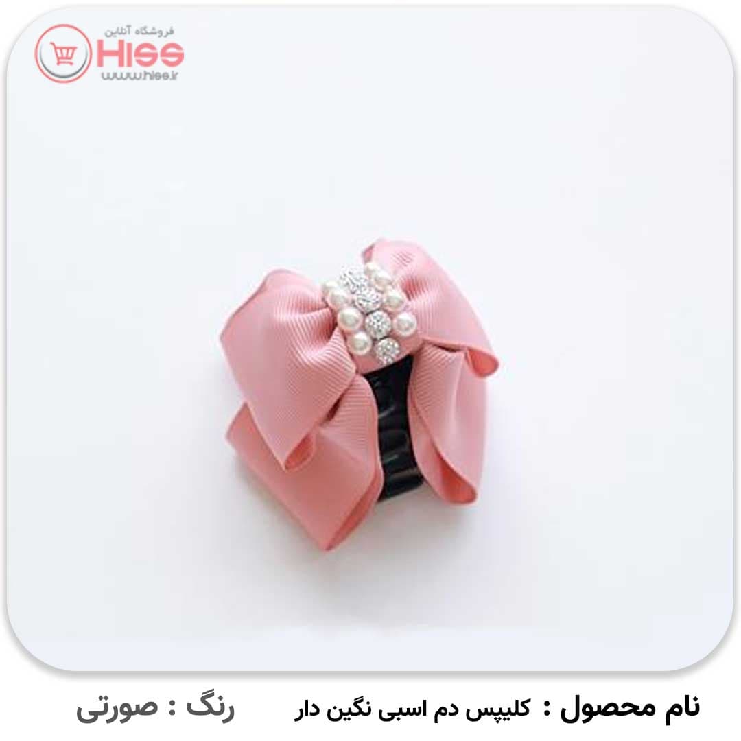 کلیپس دم اسبی نگین دار — تصویر ۵