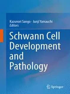 دانلود کتاب Schwann Cell Development and Pathology