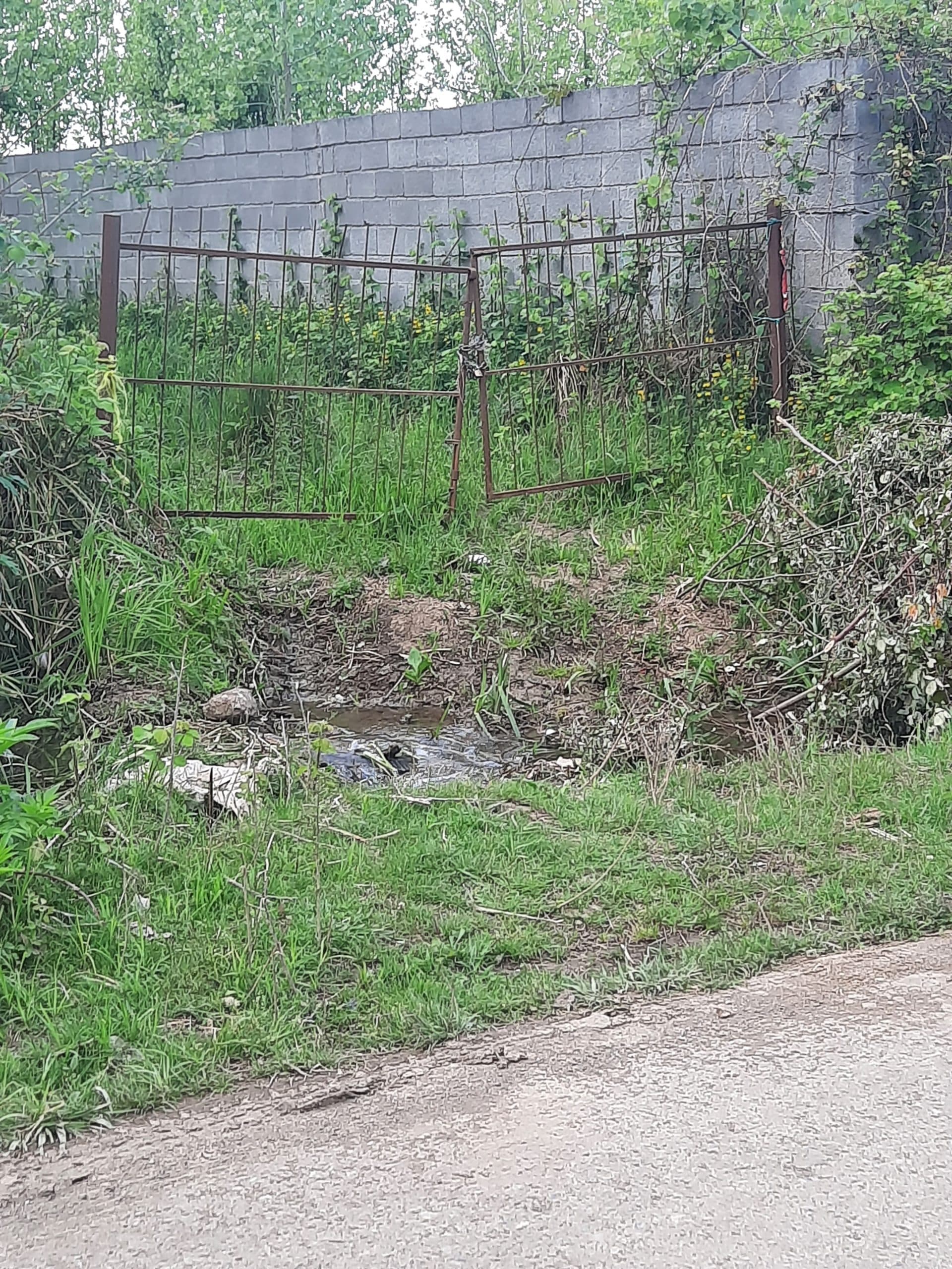 زمین باغی 5200مترداخل طرح هادی در روستای لالم ضیابر — تصویر ۳