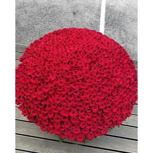 ارسال فوری گل برای باشگاه ورزشی تهران غرب 7987