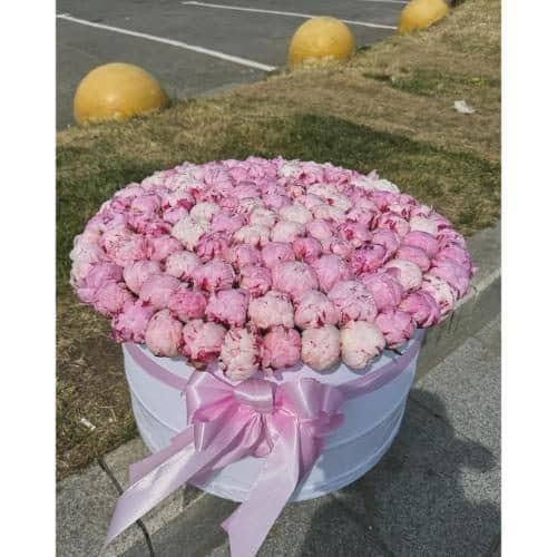ارسال فوری گل برای باشگاه تهران یاری 7861