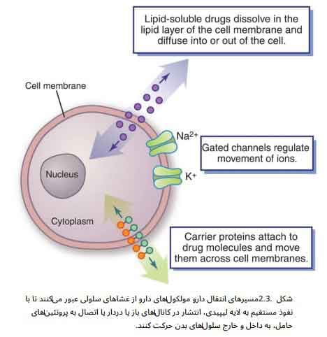 کتاب Abrams Clinical Drug Therapy Rationales For Nursing Practice + ترجمه — تصویر ۶
