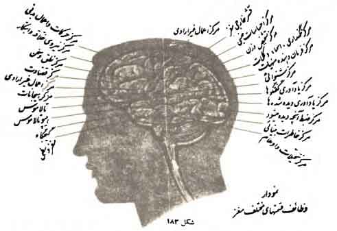 مجموعه کتاب آموزش هیپنوتیزم اثر شعبان طاووسی — تصویر ۸