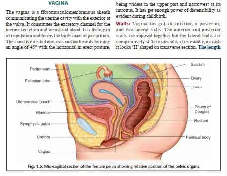 کتاب DC Duttas textbook of gynecology + ترجمه — تصویر ۴