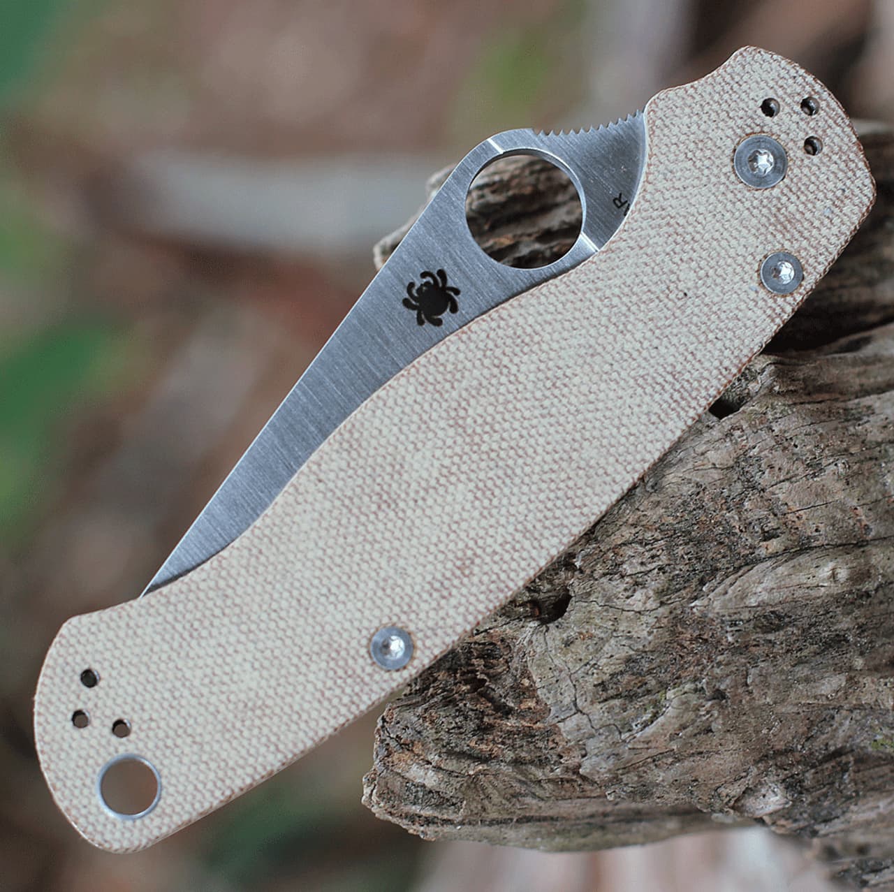 چاقو میکارتا نظامی اسپایدرکو Spyderco PARA MILITARY™ 2 CPM CRU-WEAR MICARTA — تصویر ۴