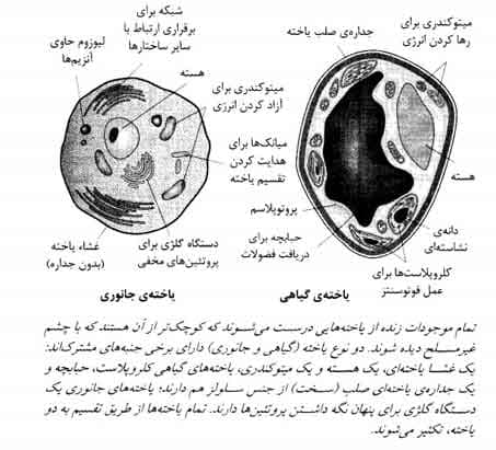 کتاب چه کسی چه وقت چه چیزی را کشف کرد — تصویر ۴