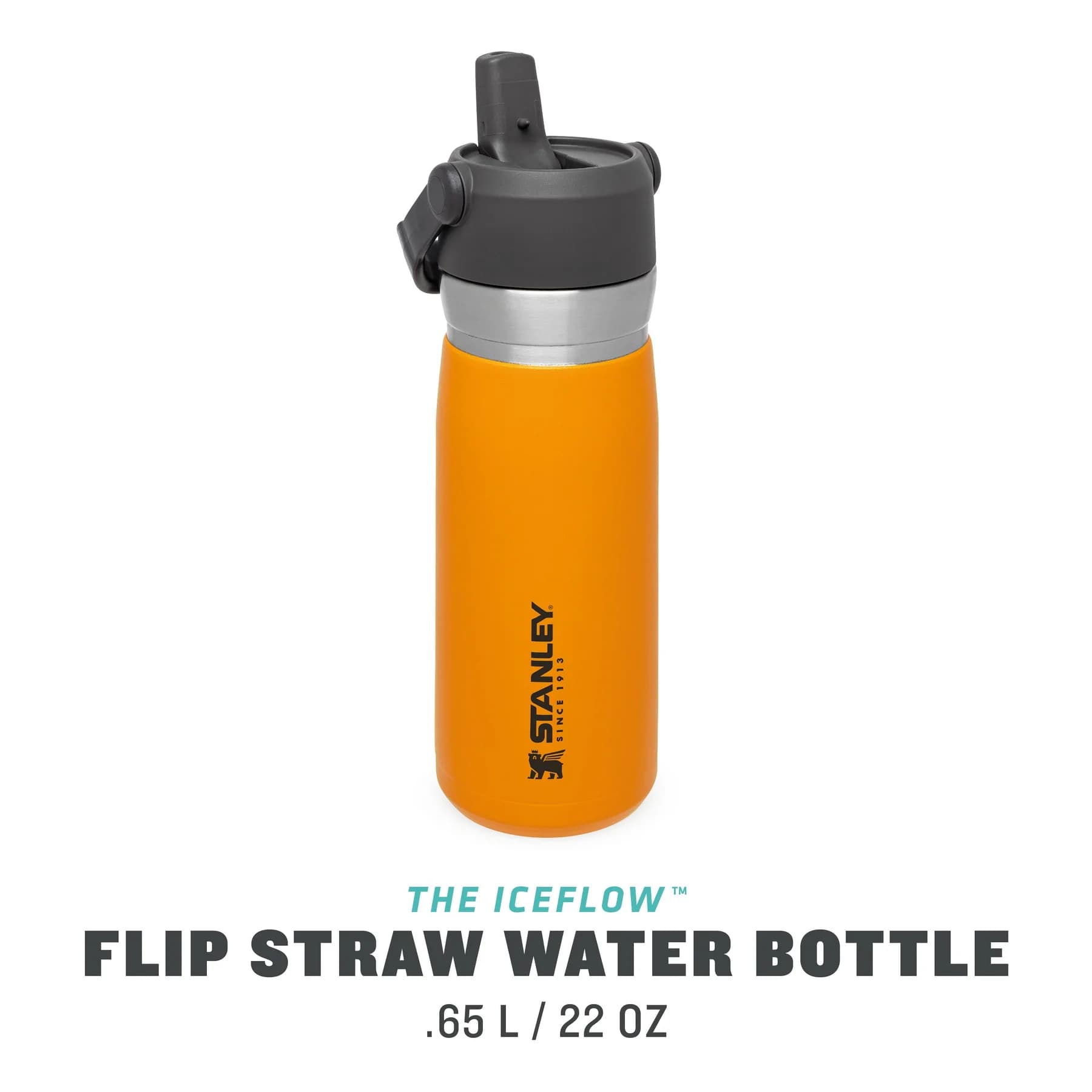 ماگ استنلی 0.65 لیتری سری گو STANLEY GO FLIP STRAW WATER BOTTLE | 22OZ — تصویر ۴