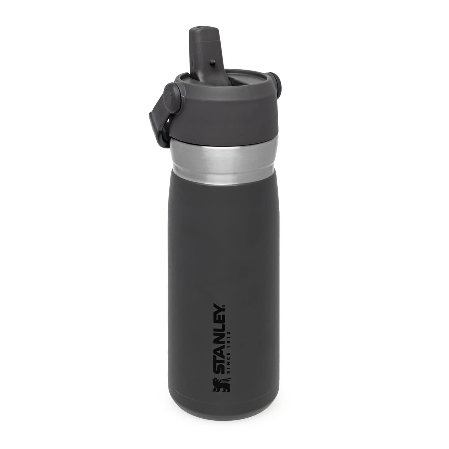 ماگ استنلی 0.65 لیتری سری گو STANLEY GO FLIP STRAW WATER BOTTLE | 22OZ — تصویر ۶