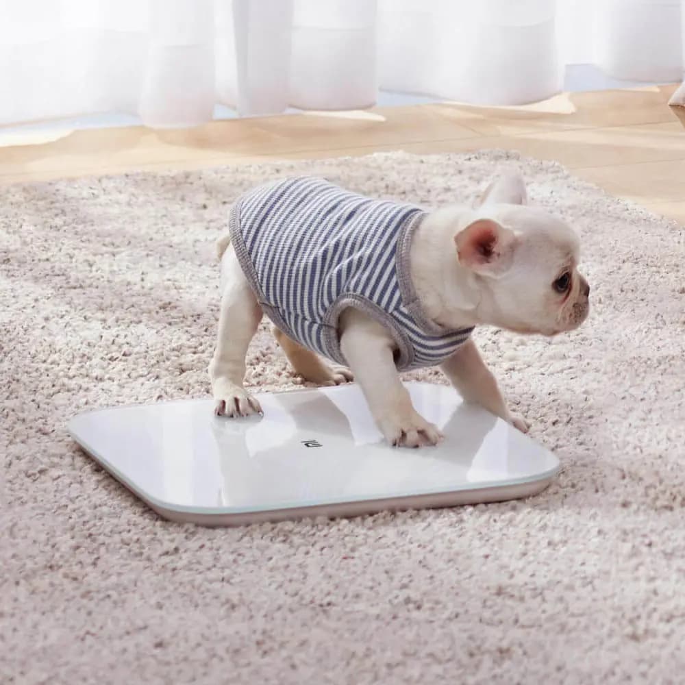 ترازو هوشمند شیائومی مدل Mi smart scale 2 XMTZC04HM Global — تصویر ۵