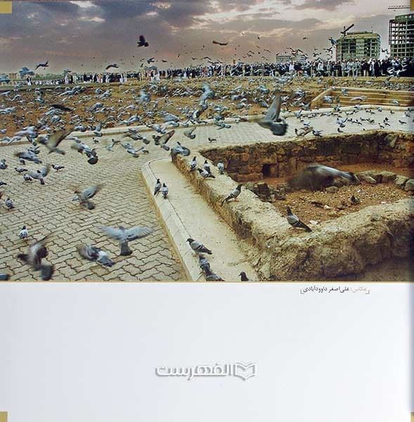 حدیث عشق (مجموعه عکس) (مصور رنگی) — تصویر ۴