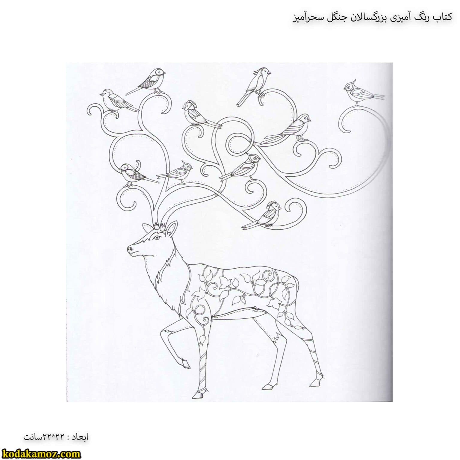 کتاب رنگ آمیزی بزرگسالان جنگل سحرآمیز — تصویر ۳