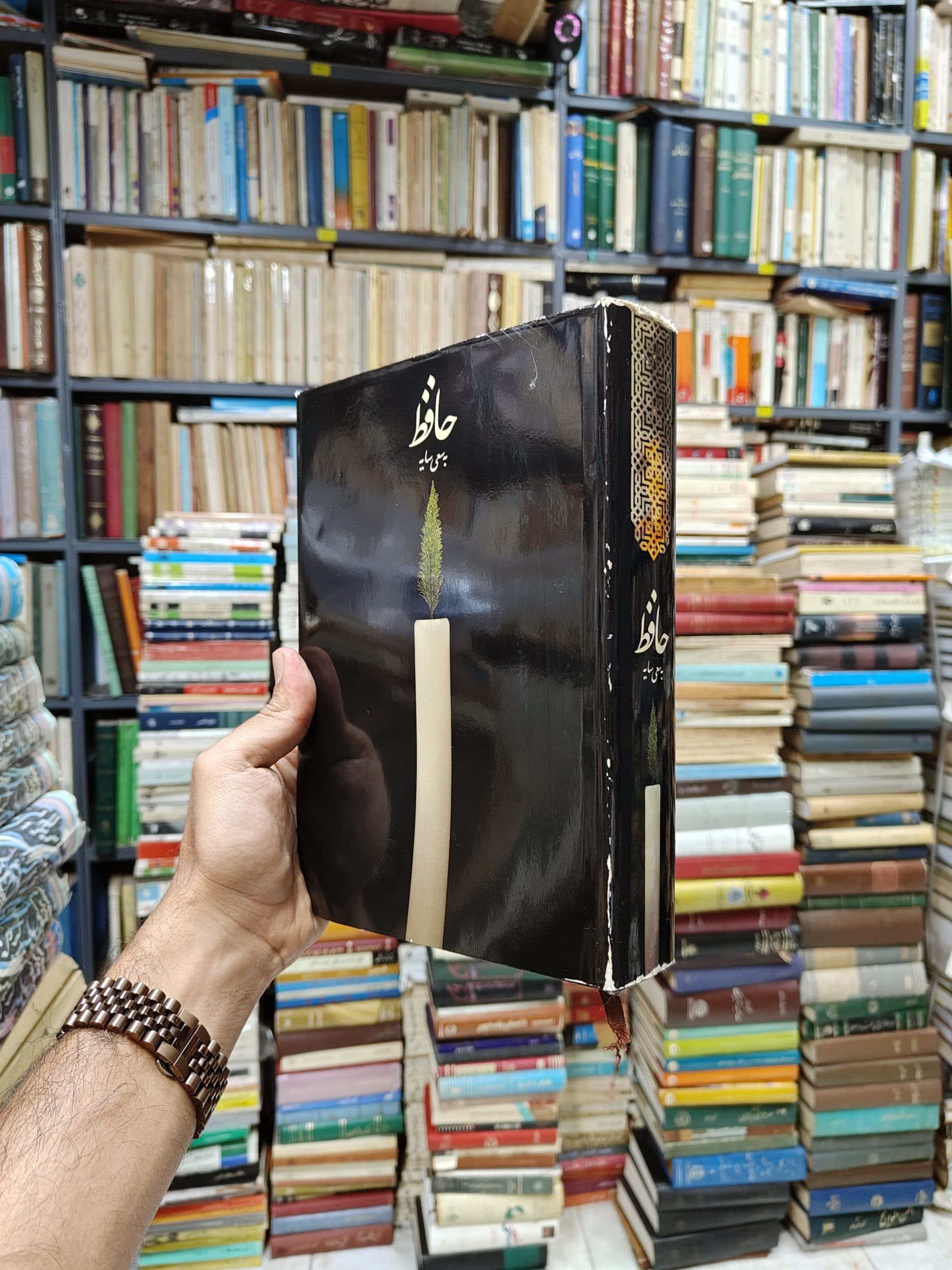 حافظ به سعی سایه (قابدار) — تصویر ۳