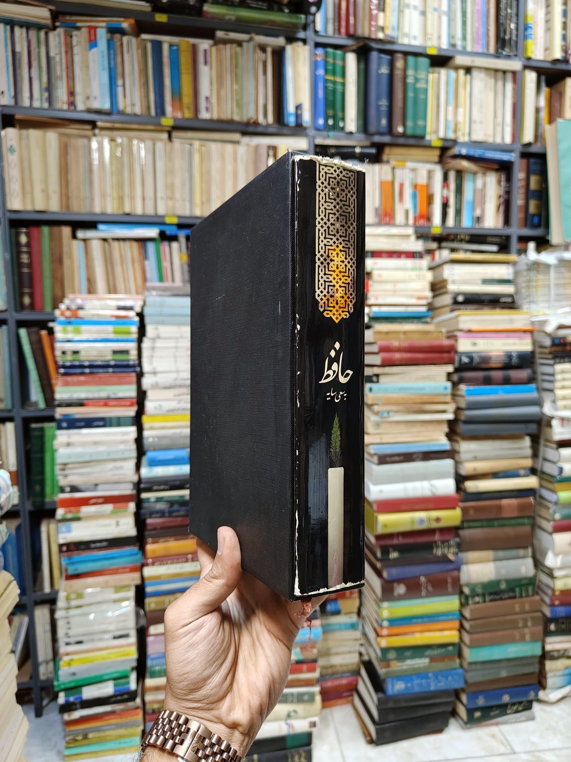حافظ به سعی سایه (قابدار) — تصویر ۲