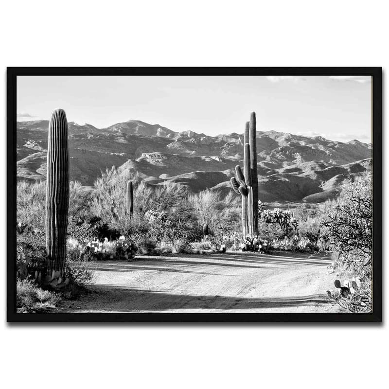 تابلو مدل Cactus on the way کد 248901288