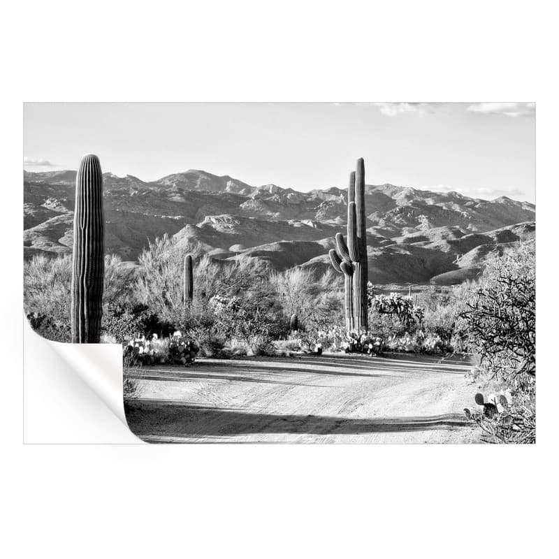 تابلو مدل Cactus on the way کد 248901288 — تصویر ۲