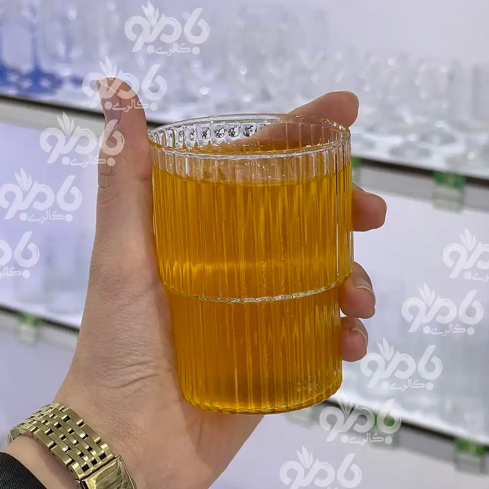 لیوان شب 6عددی تیام در 2سایز — تصویر ۵