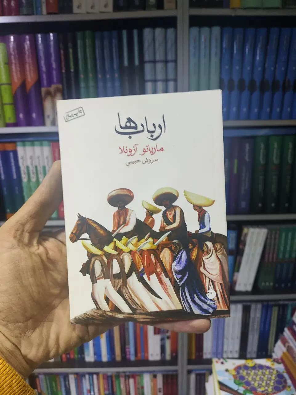 ارباب ها ماهی